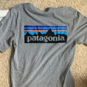 Patogonia mens shirt